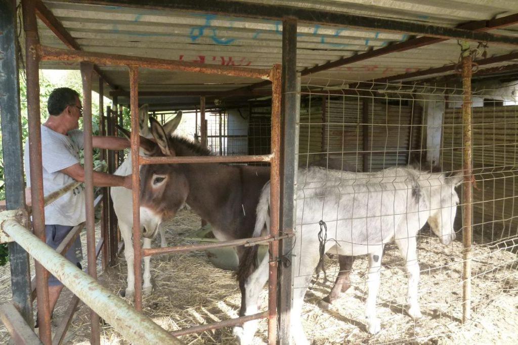 Finca Los Burros Tolatán 외부 사진