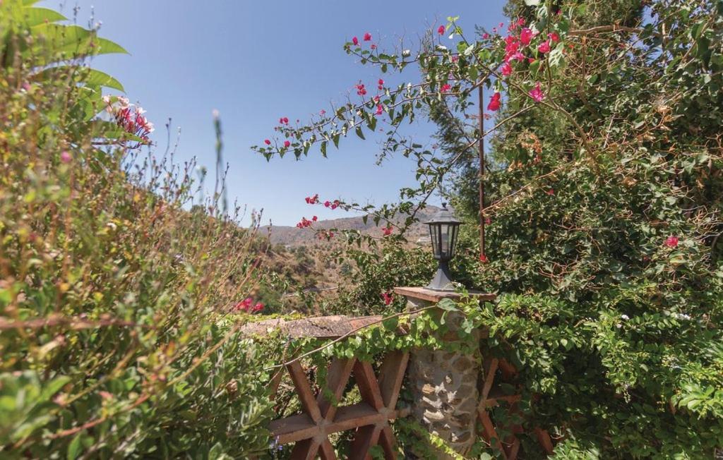 Finca Los Burros Tolatán 외부 사진